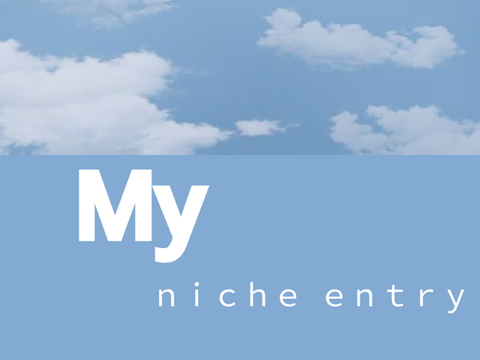 ✎ My niche entry!