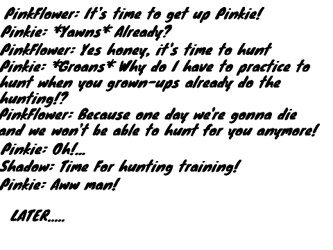 The script For The Show remix