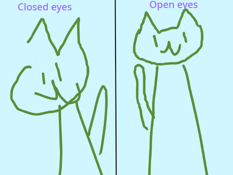 Competition of the cats!  remix