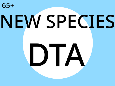 Small DTA! And new species!