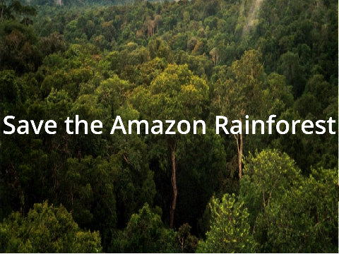 Save the Amazon Rainforest || Remix This Project ||