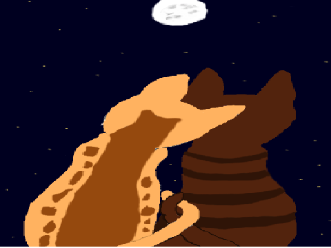 My entry