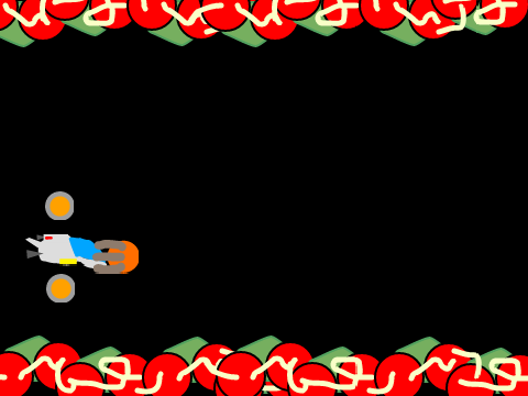 R-type final stage