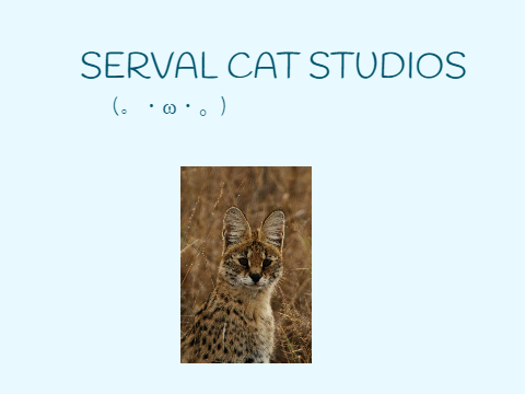Serval Cat Studios