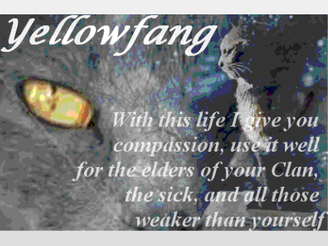 Yellowfang- My Icon
