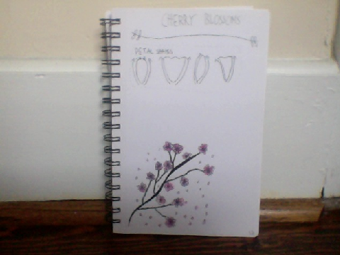 My nature doodles!