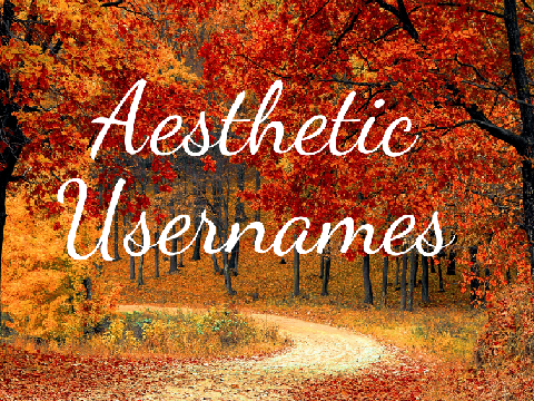Need a username?