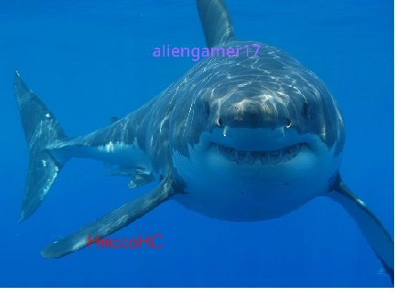 Sign If You Want To Save Sharks! remix