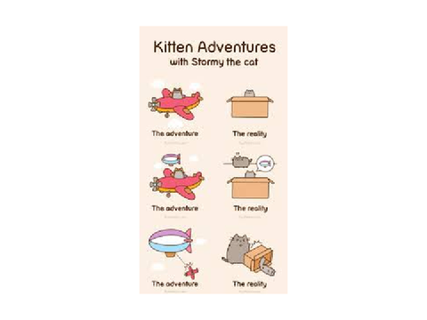 KITTEN ADVENTURES