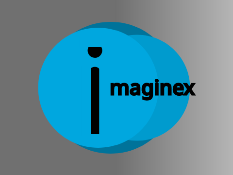 Logo for -Imaginex-