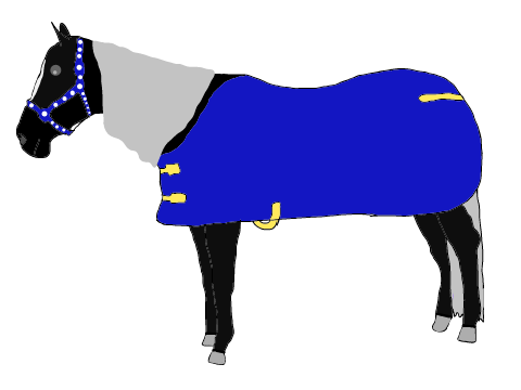 Horse club coloring contest entry 