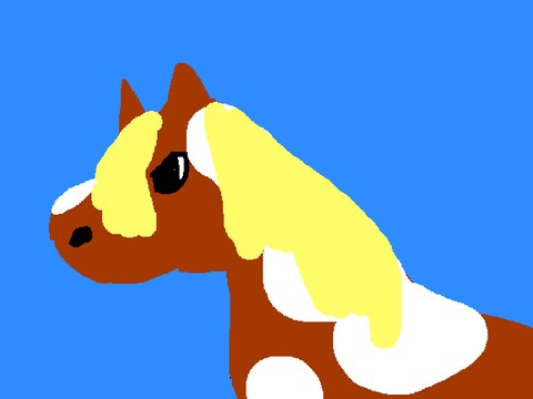 The American Paint Horse