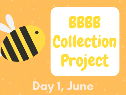 BBBB Collection Project June - Monday