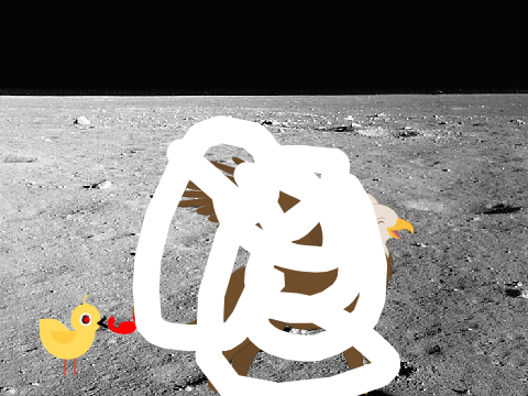 chicks don't want to fly