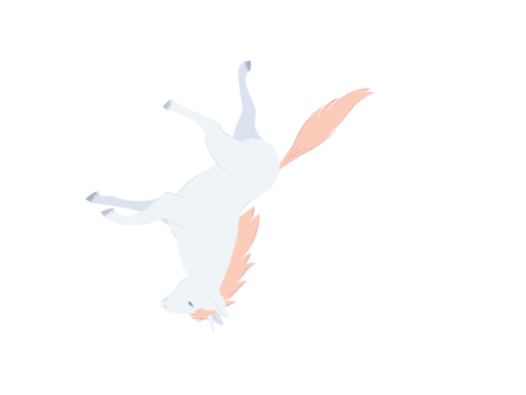 Funny unicorn