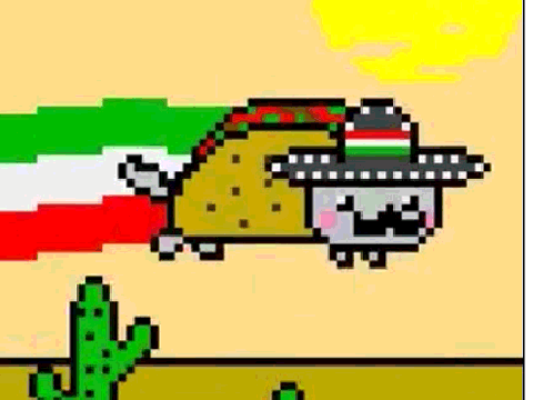Nyan Taco Cat!!!