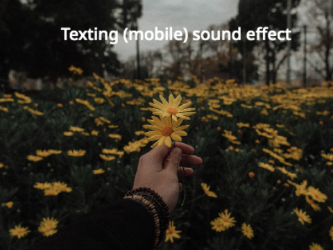 Texting sound effect