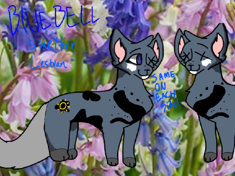 Bluebell ref
