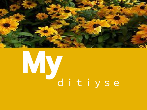 ♡My dtiyse