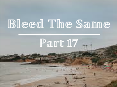 Bleed The Same | Part 17
