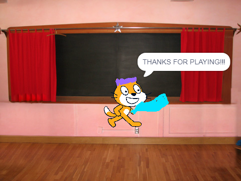 teacher cat