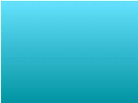 Coloured Whale & quiz