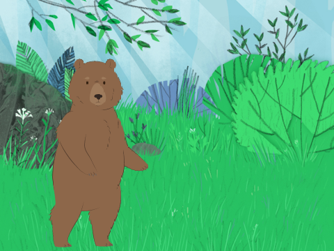 Dancing bear 
