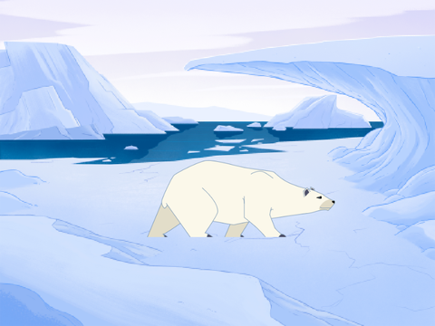 Save the polar bears 