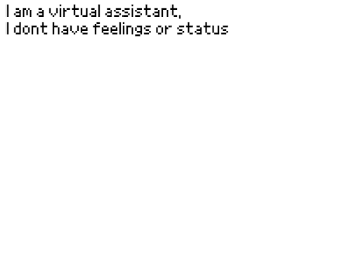 Virtual Assistant v1.0