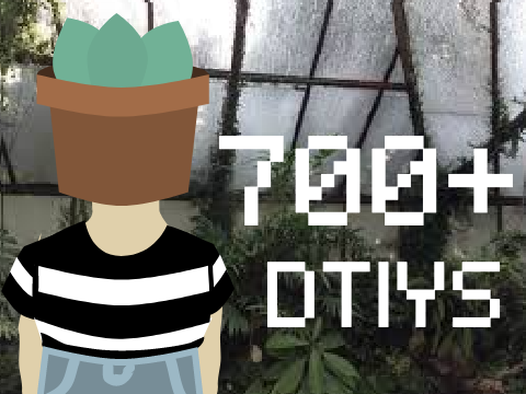 700+ DTIYS! Entry