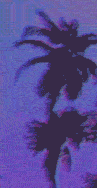 ☾