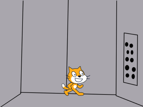 Elevator Cat