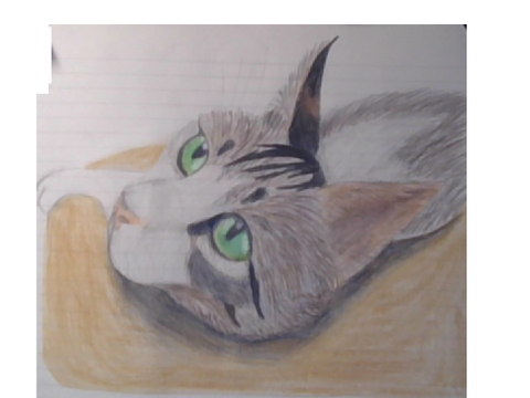 a drewing of mah new kitty named matcha <3