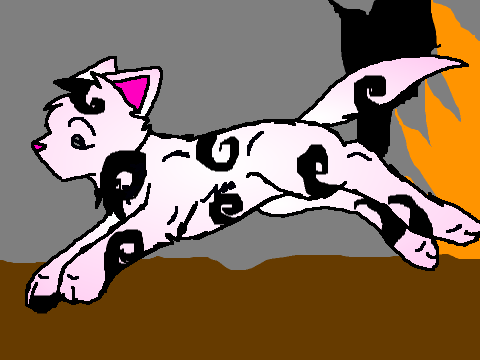 Warrior Cat CC FOR FUN
