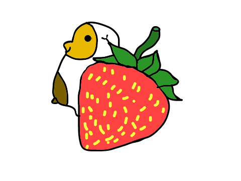 PFP for B4S19