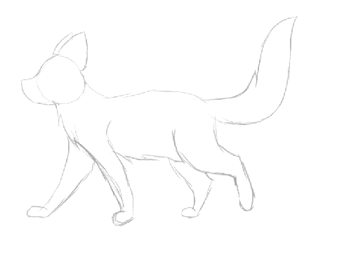 Animation test