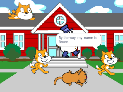 Cat!