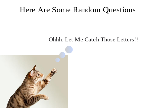 Random Questions!