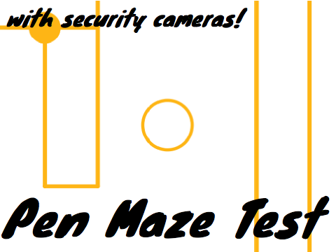 Pen Maze Test (w/ security cameras!)