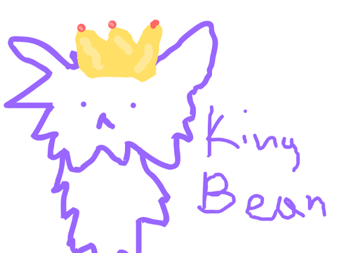king bean-beankingdom introduction