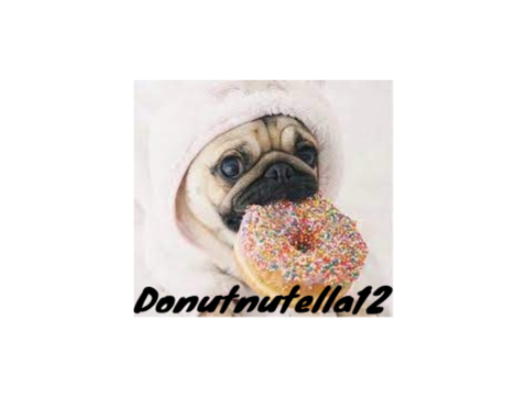 Hannah1875's entry for Donutnutella12