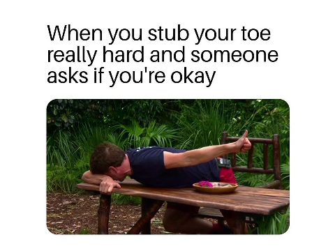 Your Daily Memes