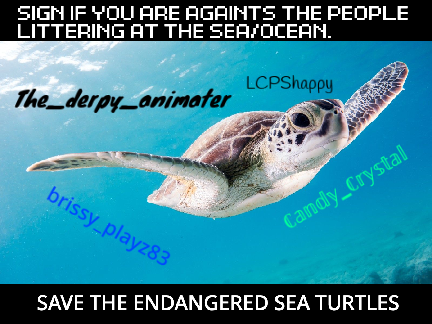 SAVE THE BAY! sign if you care for turtles(please remix) remix