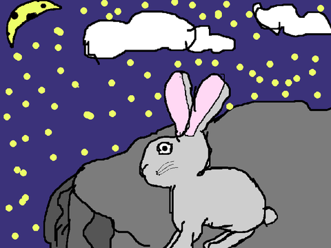 Rabbit’s art