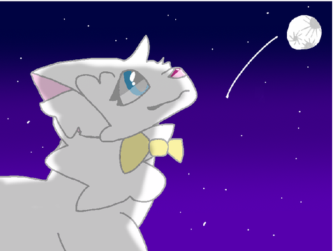 Payment for @Puff-Draws’ shop
