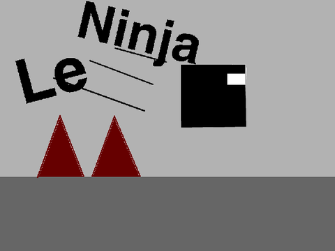 Le Ninja