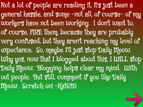 Blog #2: Holidiays with Daily Meow