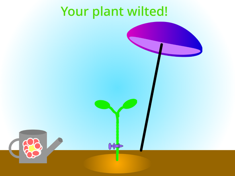 Plant Life