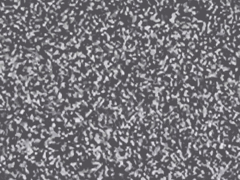 Static Test