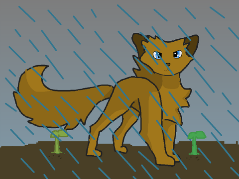 New life animation